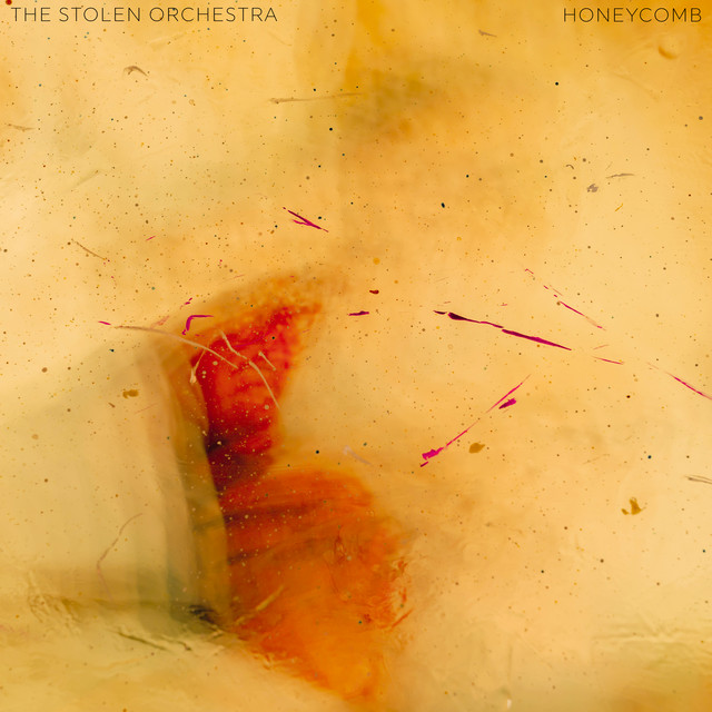 Honeycomb (single)