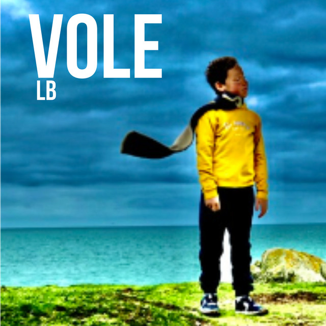 Vole cover art