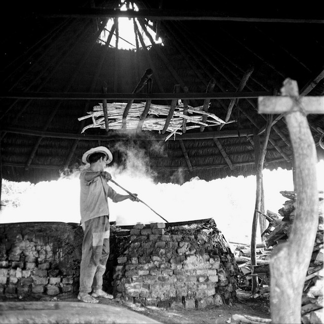 Trapiche