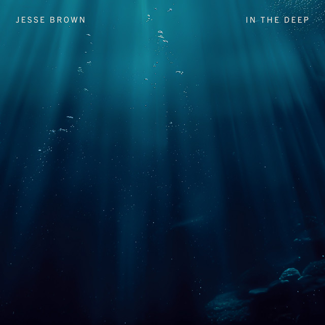 in the deep cover art