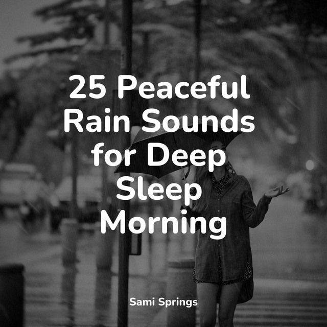 25 Peaceful Rain Sounds for Deep Sleep Morning - Album by Hipnose ...