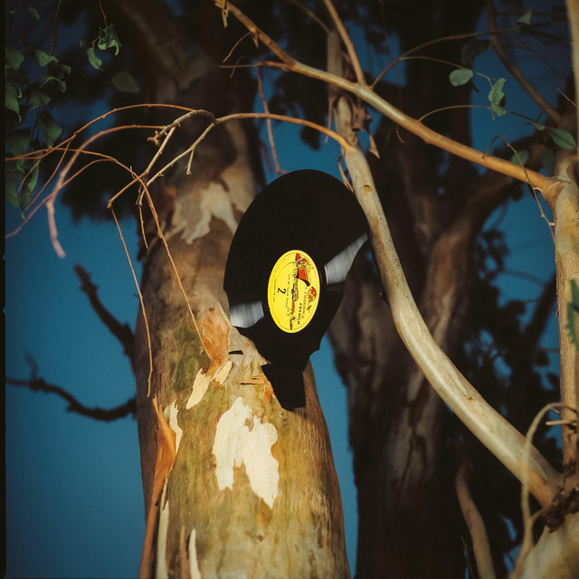 Everything cover art