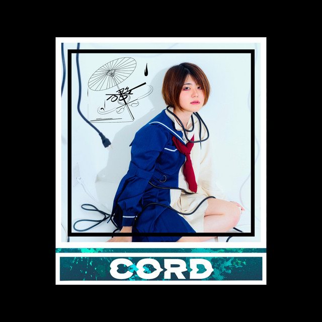 Cord cover