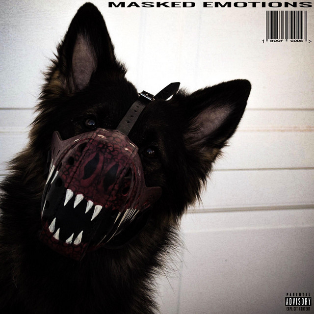 Masked Emotions cover art
