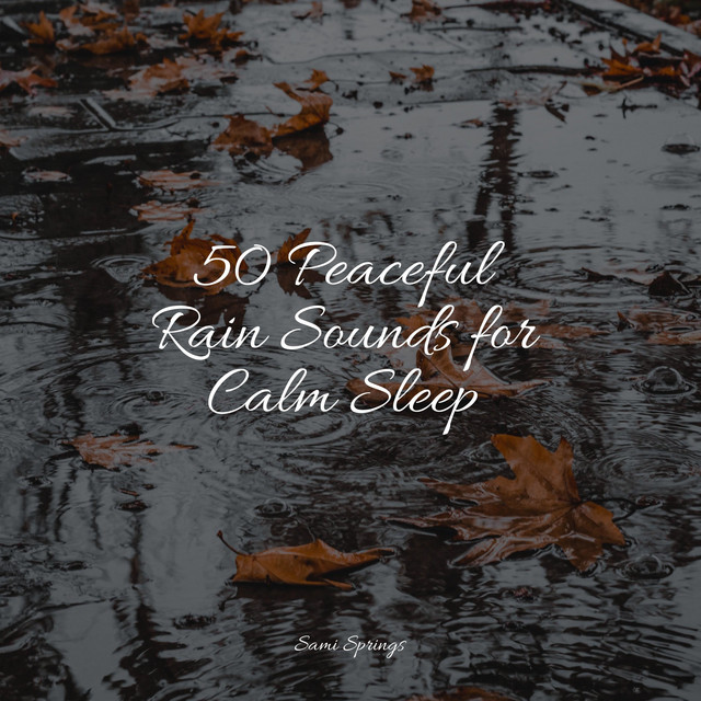 50 Peaceful Rain Sounds for Calm Sleep - Album by Sleep Sounds Rain ...