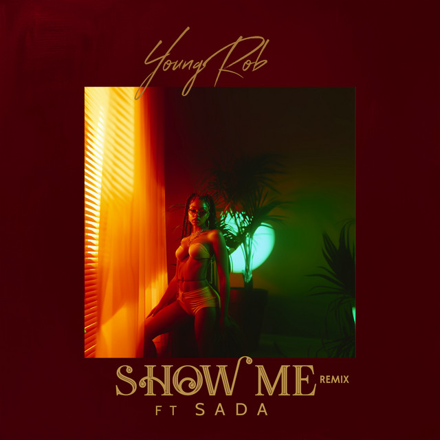 Show Me (Remix) cover