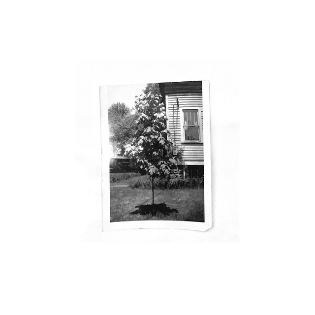 nothing, existed. cover art