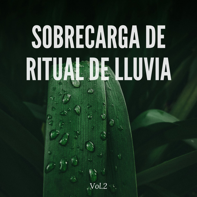Sobrecarga de ritual de lluvia Vol.2 - Album by Sonidos De Lluvia y ...