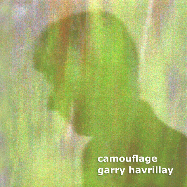 Camouflage cover