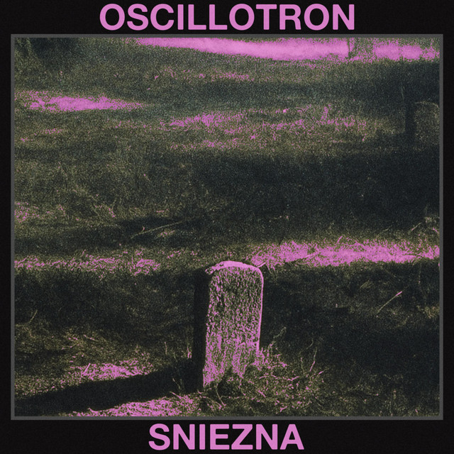 Sniezna cover art