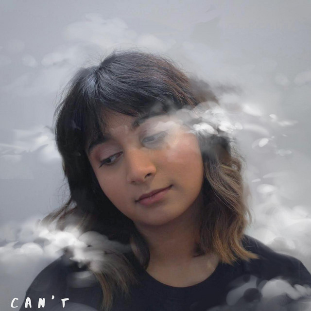 Can't cover art