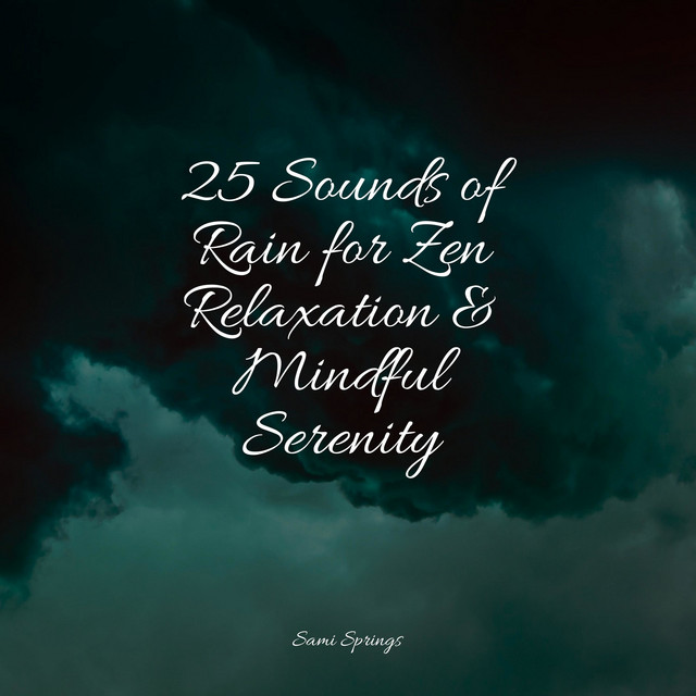 25 Sounds of Rain for Zen Relaxation & Mindful Serenity - Album by ...