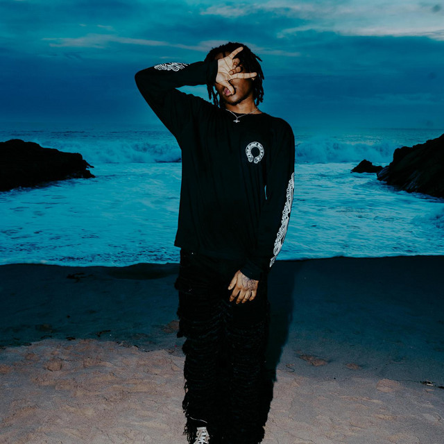 Life cover art