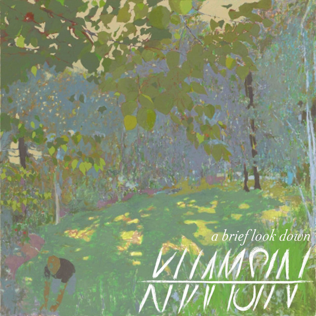 A Brief Look Down cover art
