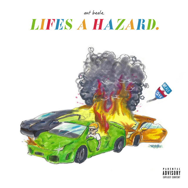 Life's a Hazard cover art