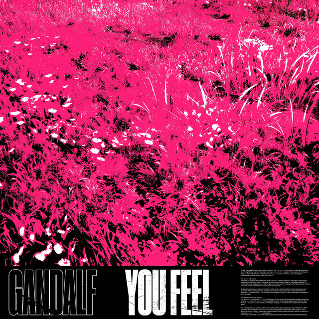 You Feel album art
