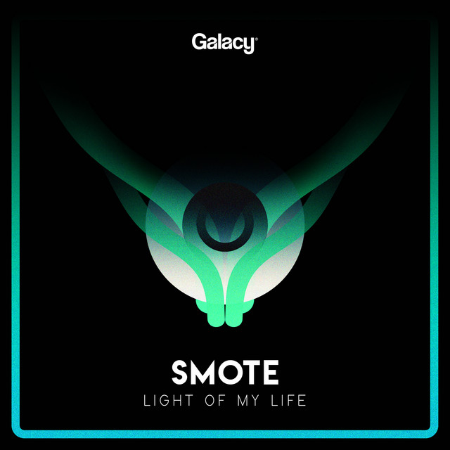 Light Of My Life artwork