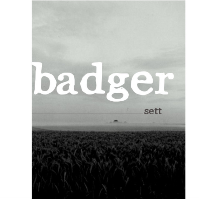 SETT cover art