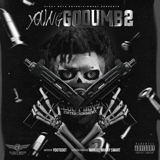 GO Dumb 2 cover art
