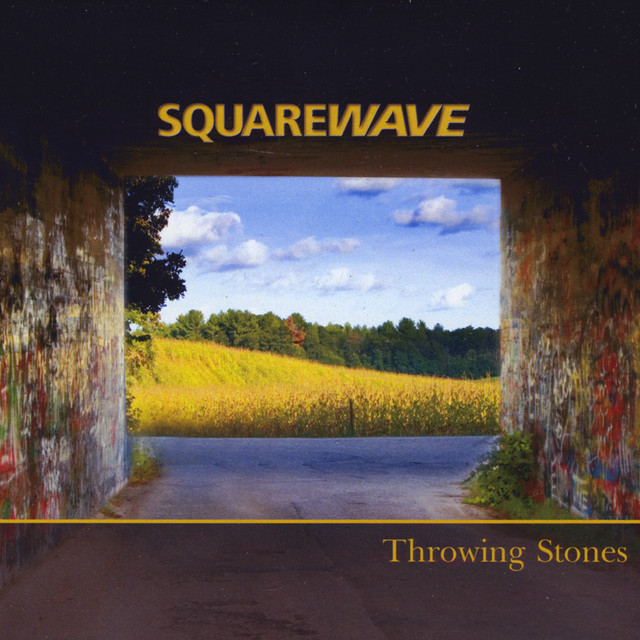 Throwing Stones cover art