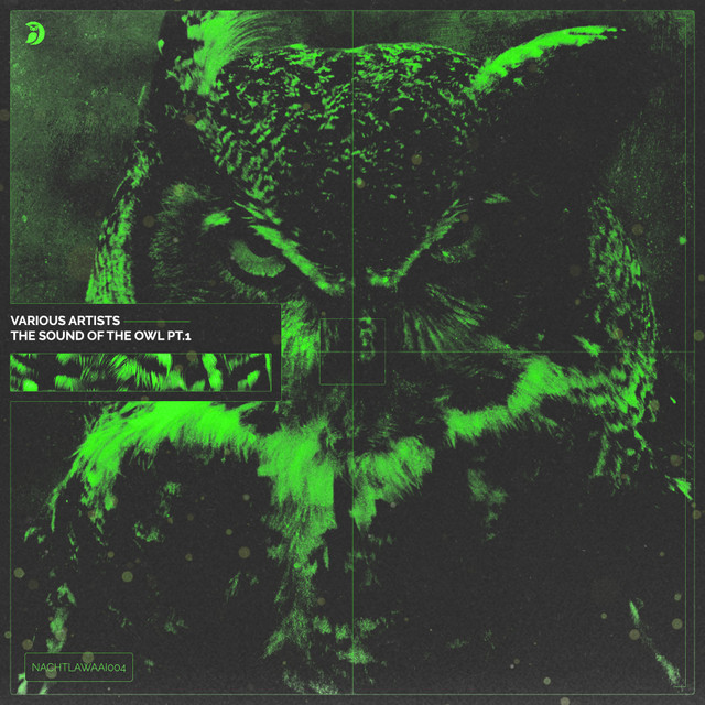 The Sound of The Owl, Pt. 1 cover art