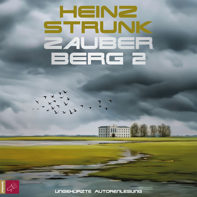 Zauberberg 2 (ungekürzt) cover art