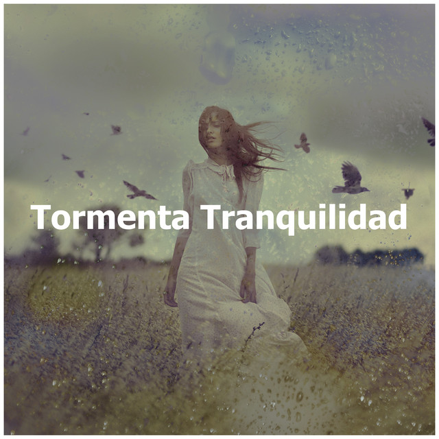 Tormenta Tranquilidad - Album by Sonidos De Truenos y Lluvia | Spotify