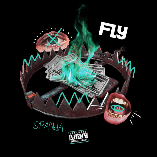 Fly cover art