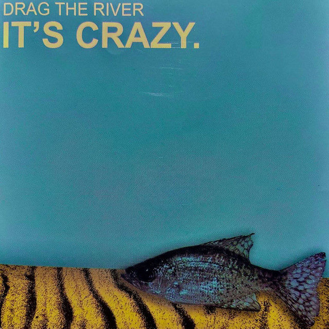 It's Crazy. cover art