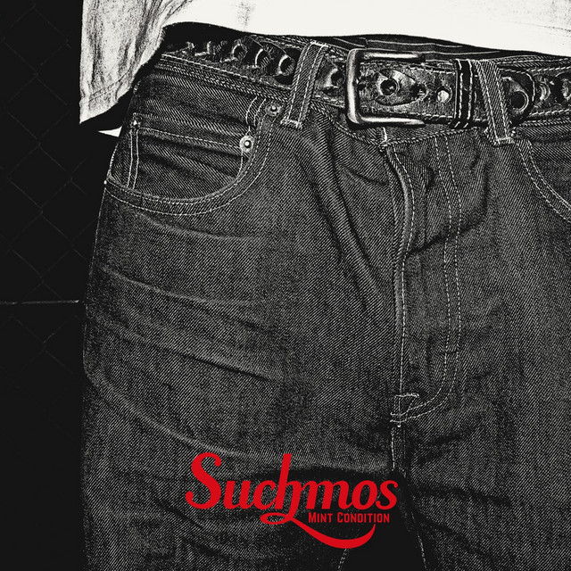 Mint - song and lyrics by Suchmos | Spotify