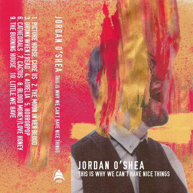 This Is Why We Can't Have Nice Things cover art