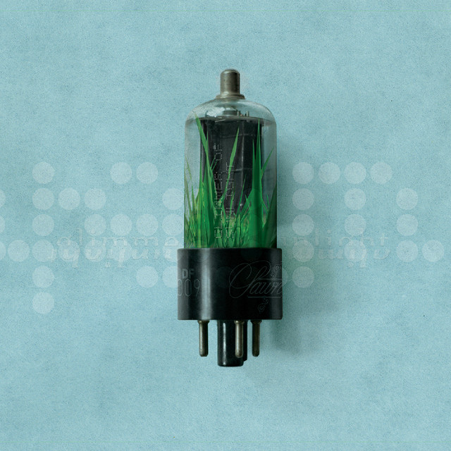 Glimmer of Sunlight cover art
