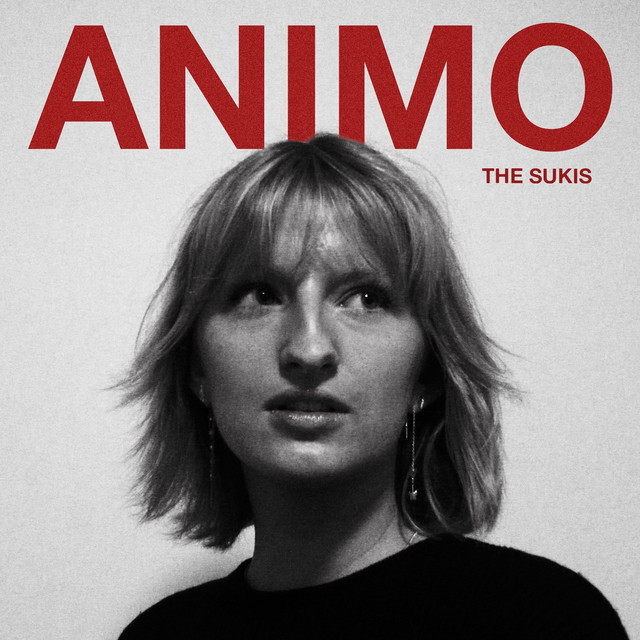 Animo cover art