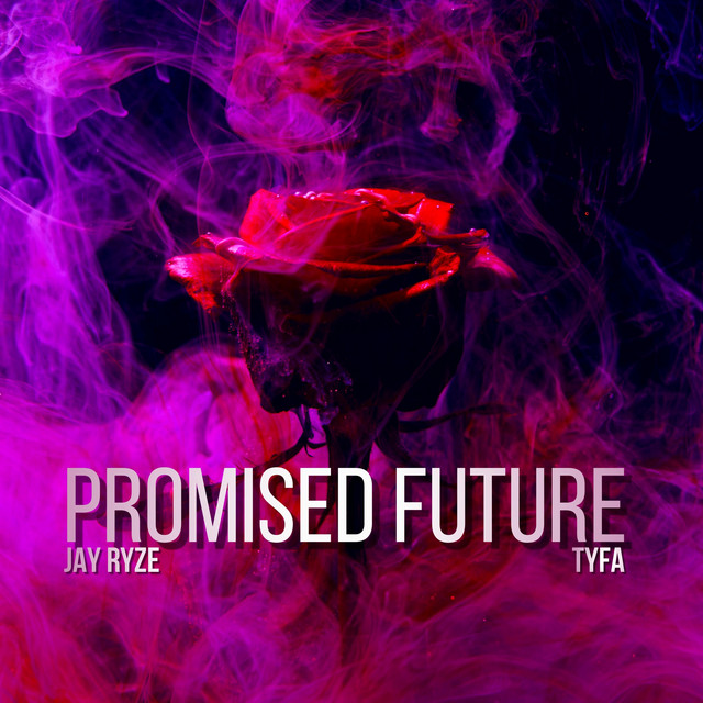 Promised Future cover