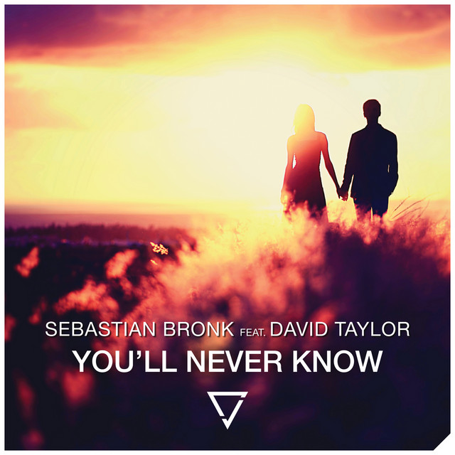 You'll Never Know (feat. David Taylor) - Sebastian Bronk & RetroVision Remix cover art