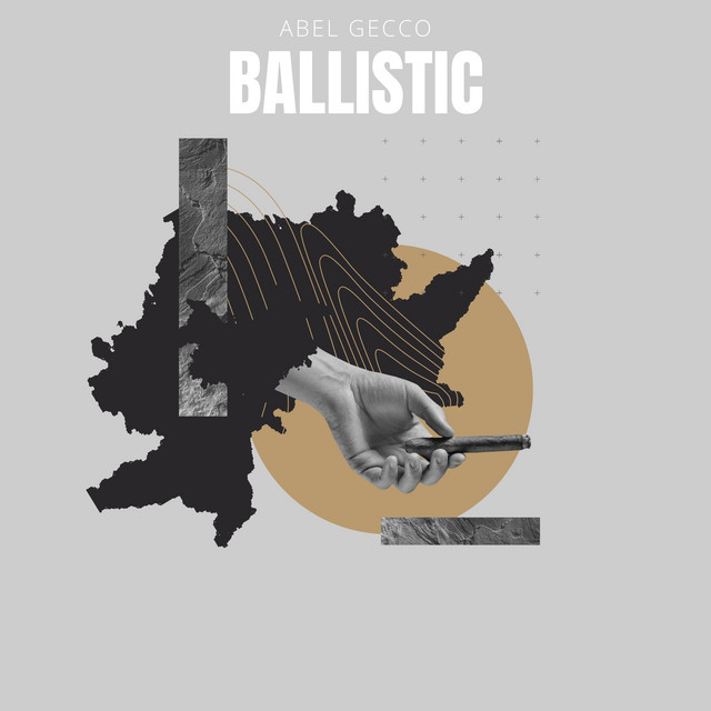 ballistic cover