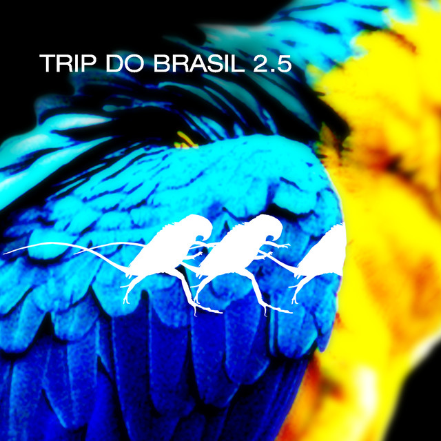 Trip Do Brasil 2.5 - Compilation by Various Artists | Spotify