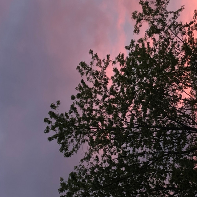 Exploration cover art