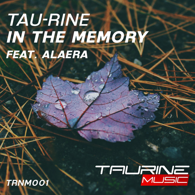Обкладинка: In The Memory — Tau-Rine