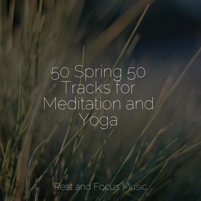 50 Spring 50 Tracks for Meditation and Yoga - Album by Calming Sounds ...