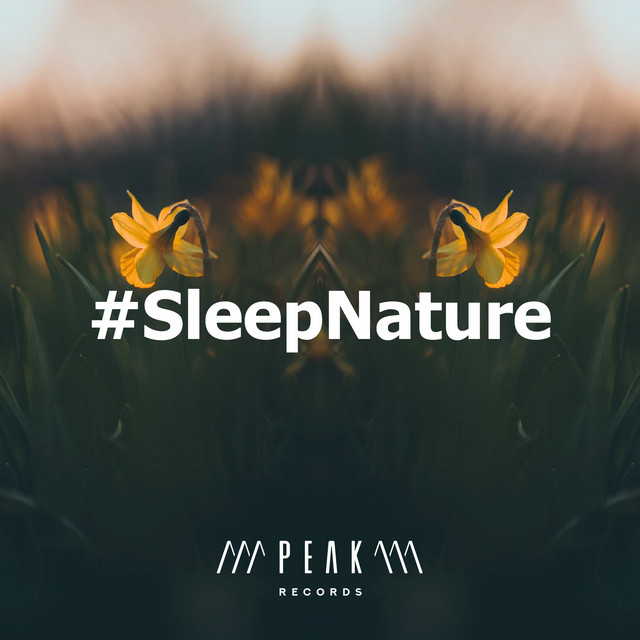 #SleepNature - Album by Deep Sleep Nature Sounds | Spotify