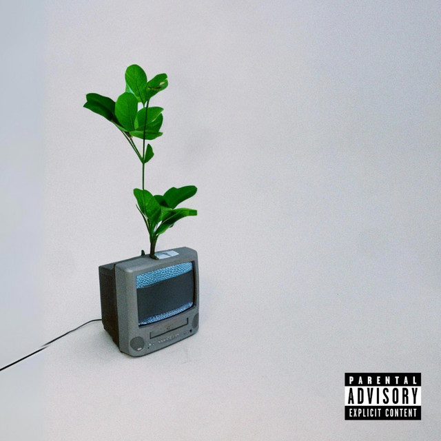 BOPS. cover art