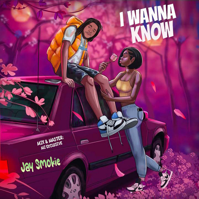 I WANNA KNOW cover