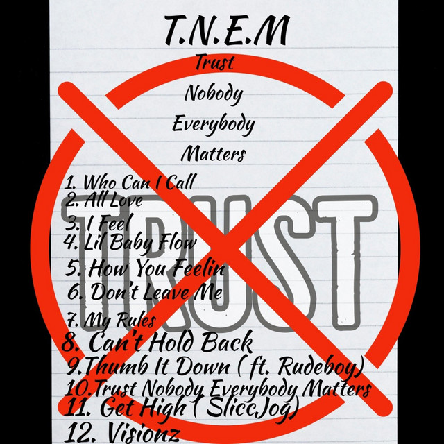 T.N.E.M (Trust Nobody Everybody Matters) - Album by Tnem | Spotify