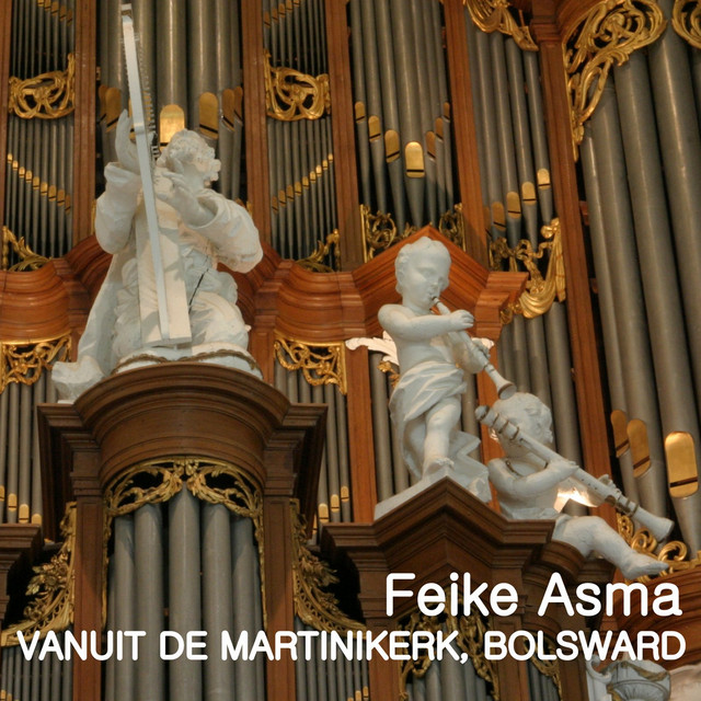 Feike Asma in de Martinkerk, Bolswaard cover art