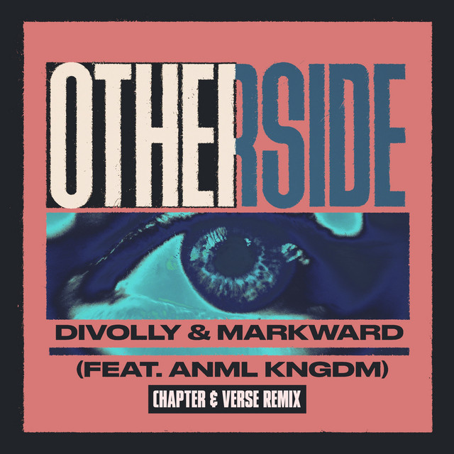 Otherside (feat. ANML KNGDM) - Chapter & Verse Remix