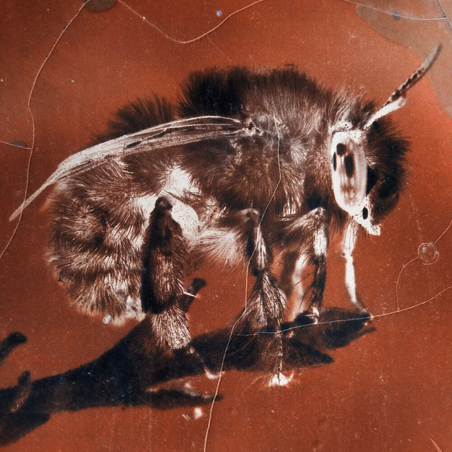 With Another Now (Tzii Remix) album image