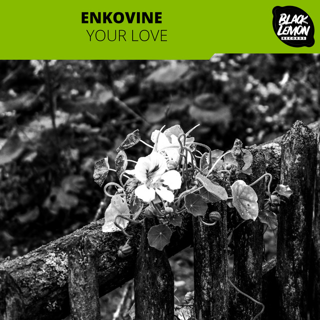 Обкладинка: Your Love — Enkovine