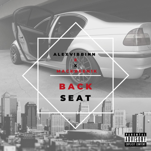 Backseat cover