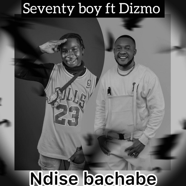 Ndise Bachabe cover art